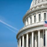 Capitol building dome
