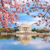 Jefferson Memorial