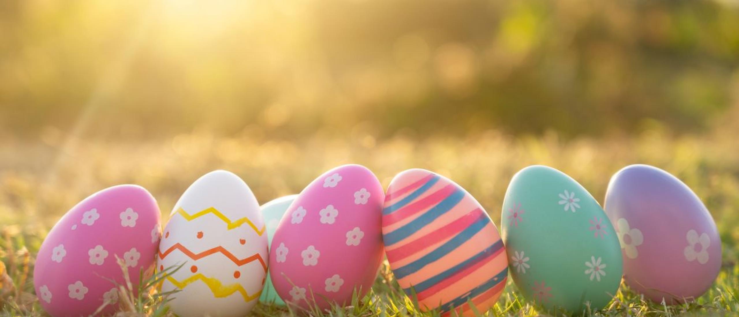 Easter eggs and sun rise