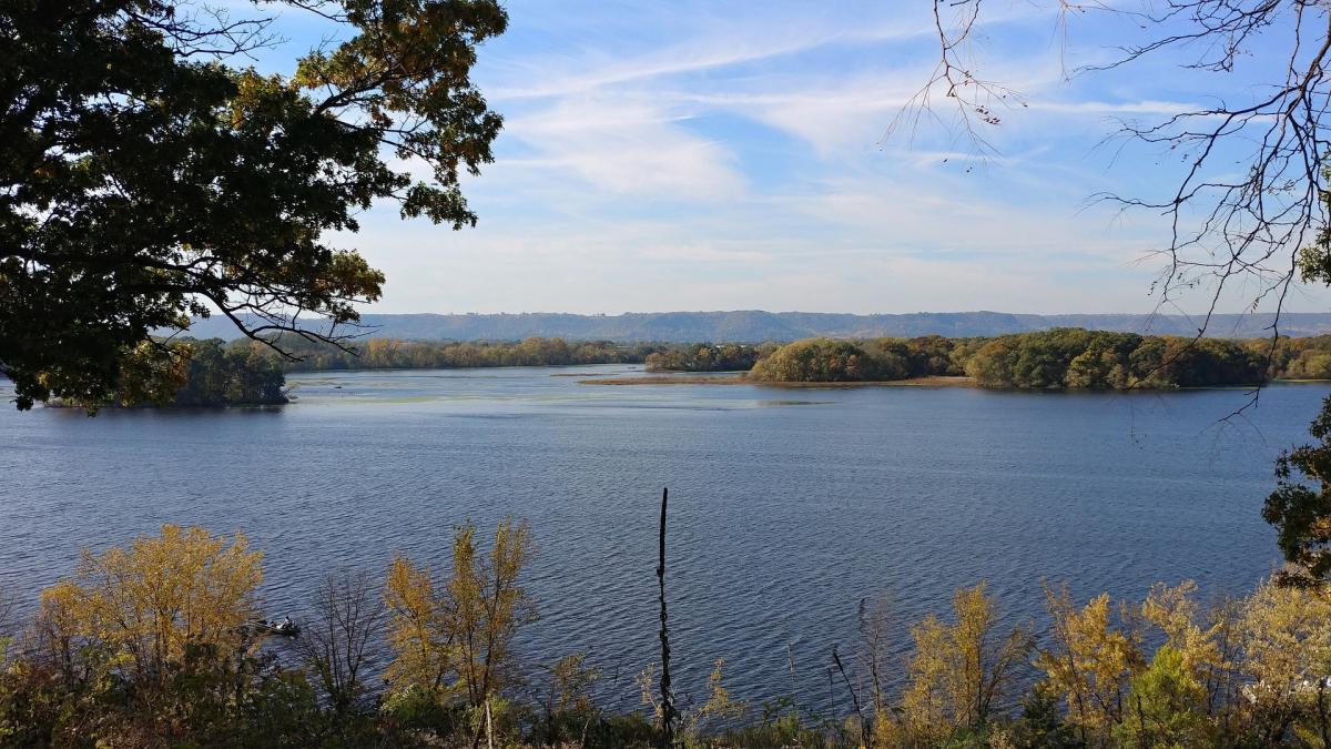 Body of water and trees