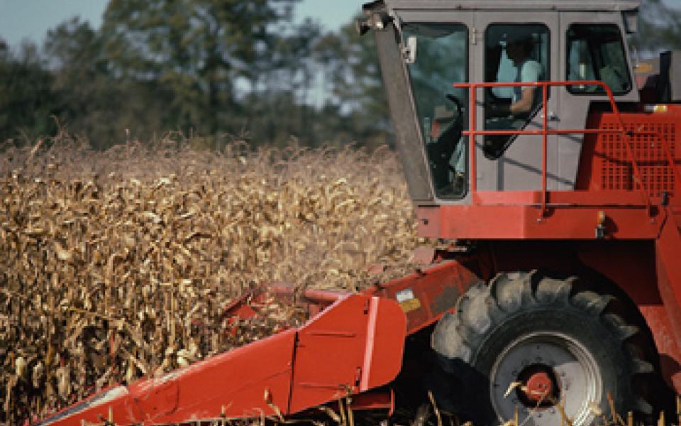 Tractor harvesting crop